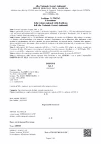 media/attachments/2020/10/11/pz02343_provv_2017_1709.pdf
