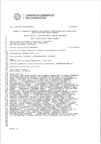 media/attachments/2020/11/28/cciaa-26-08-2020.pdf
